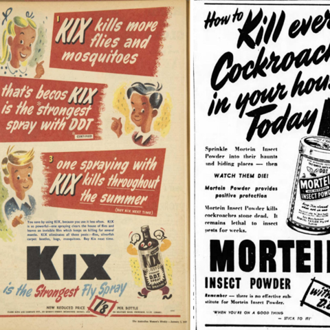 On the left, an insect killing spray advertisement in 1948. On the right, an advertisement in the Sydney Morning Herald.