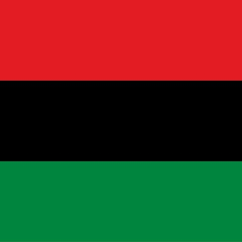 The United Negro Improvement Association (UNIA) flag.