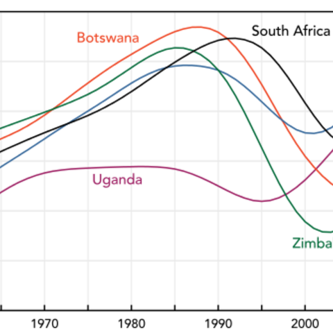 A graph depicting life expectancy in five nations in southern Africa.