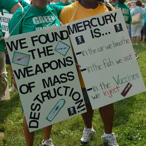 Anti-vaccination supporters at the 2008 'Green Our Vaccines' march in Washington, D.C.