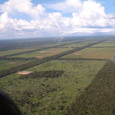 An aerial picture of cattle grazing land.