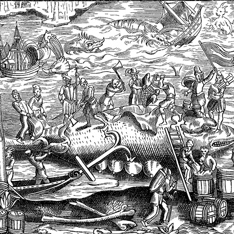 A woodcut depicting whale-fishing.