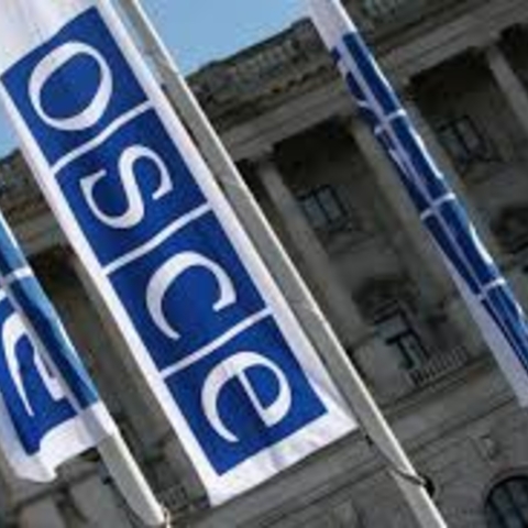 OSCE flags.