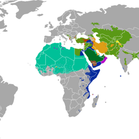 Distribution of Sunni and Shia branches of Islam.
