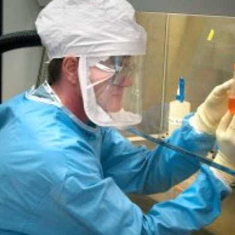 a researcher looking at a test tube of liquid