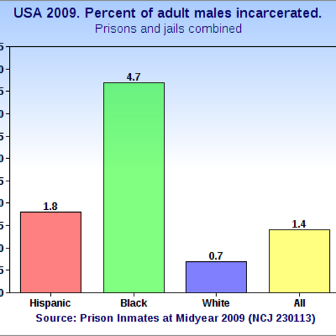 A graph depicting the racial breakdown of inmates in 2009.
