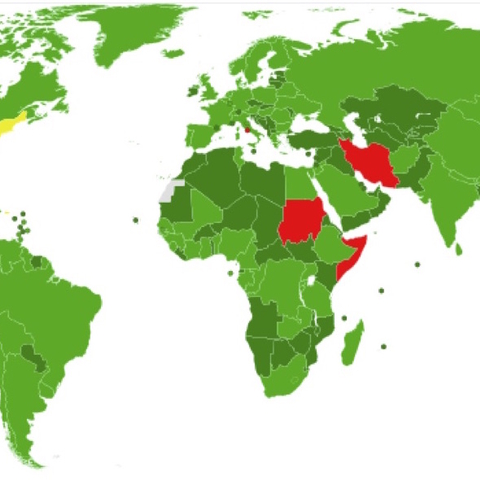 A map depicting participation in the Convention on the Elimination of All Forms of Discrimination Against Women.