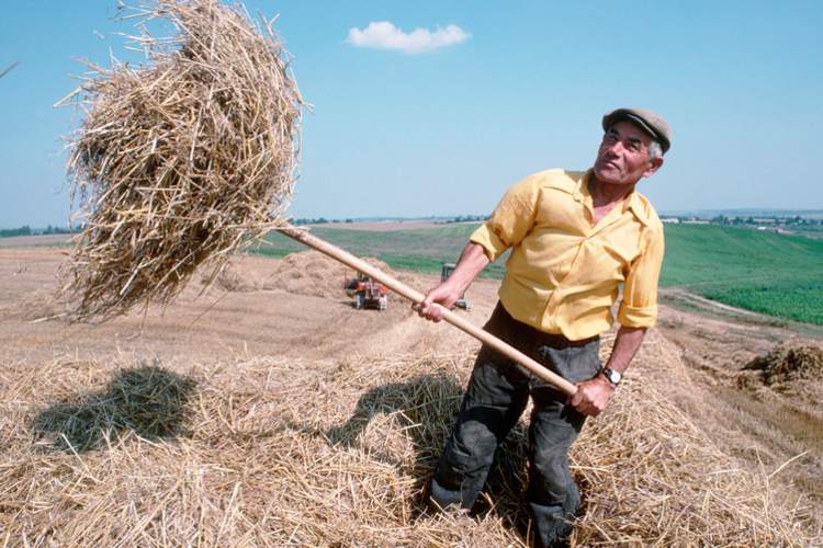 a man harvesting wheat - Lviv, Ukraine 1991 Wheat Harvest on Collective Farm 1991 by Manhhai, Flickr, cc-by 2.0