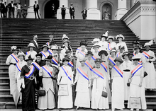 Large group of suffragists on steps